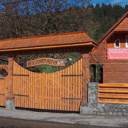 Pensiunea Adina Cavnic Exterior photo