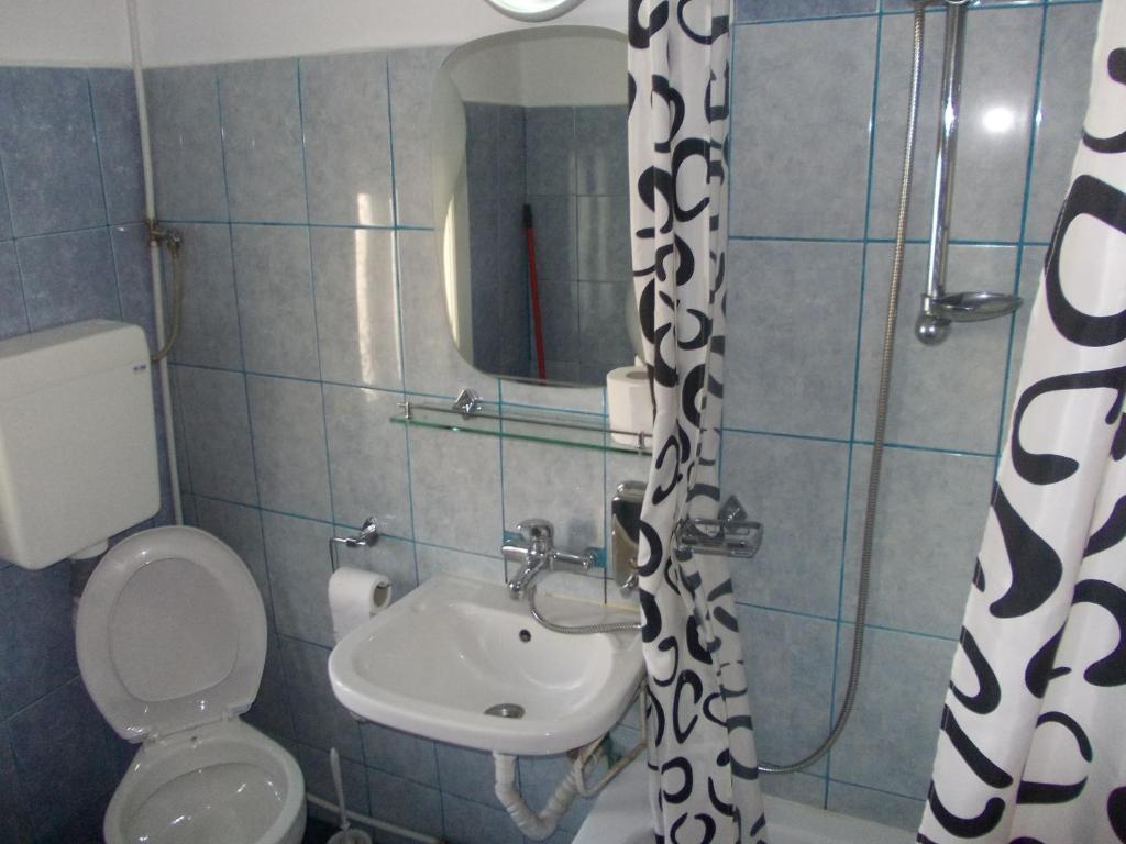 Pensiunea Adina Cavnic Room photo
